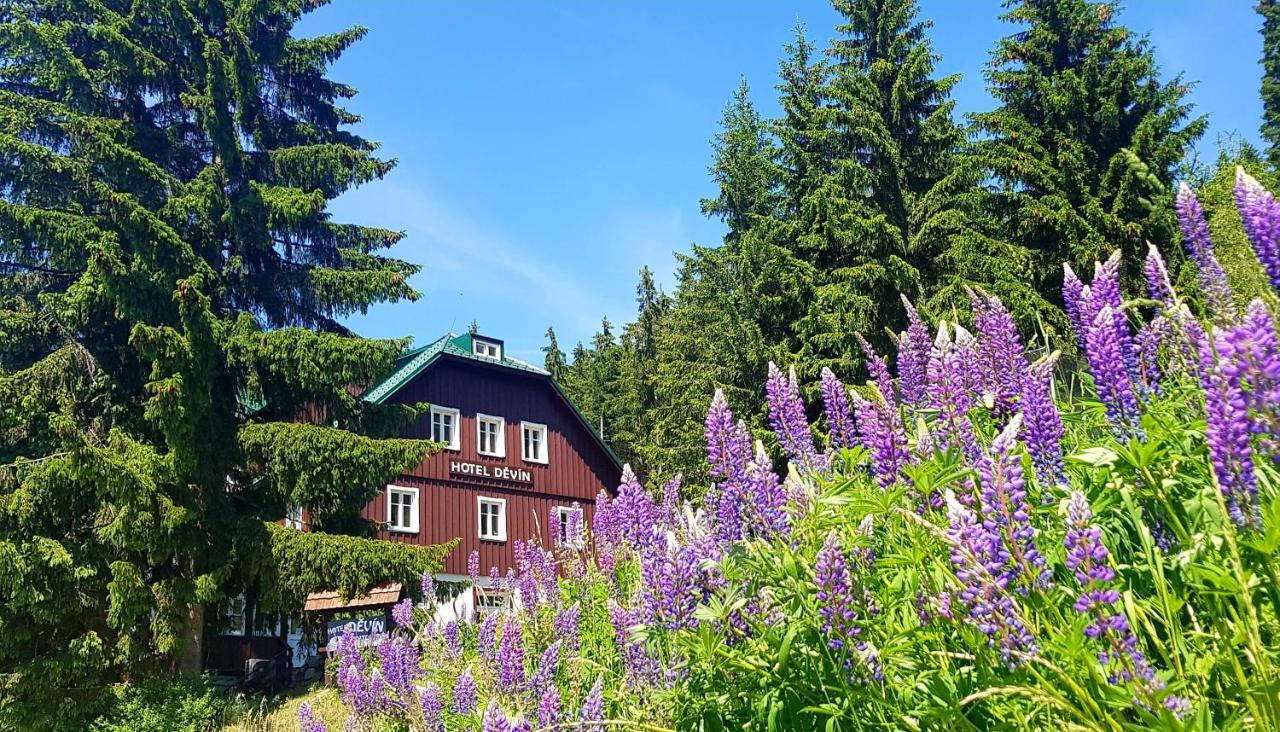 Hotel Devin Pec pod Snezkou Exterior photo